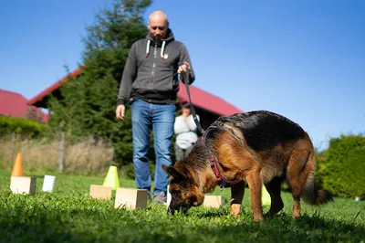 Nakama Centrum Szkolenia Psów Wrocław